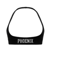Ascent Halter Bra